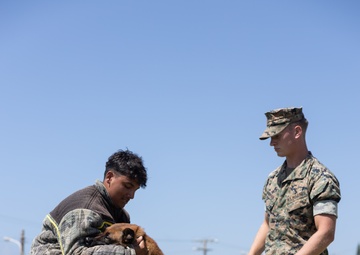 Kamimotobu After-School Children’s Club students tour Camp Schwab