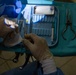 U.S., Paraguayan dental teams perform first endodontic procedures during AMISTAD 2025