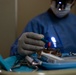 U.S., Paraguayan dental teams perform first endodontic procedures during AMISTAD 2025