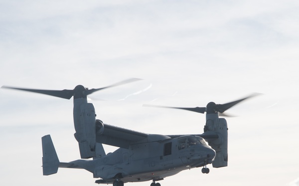 USS America (LHA 6) and 31st Marine Expeditionary Unit Conduct Flight Operations