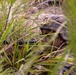 2/23 Marines conduct final field operation during KMEP 25.2