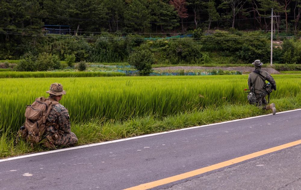 2/23 Marines conduct final field operation during KMEP 25.2