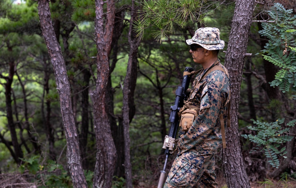 2/23 Marines conduct final field operation during KMEP 25.2