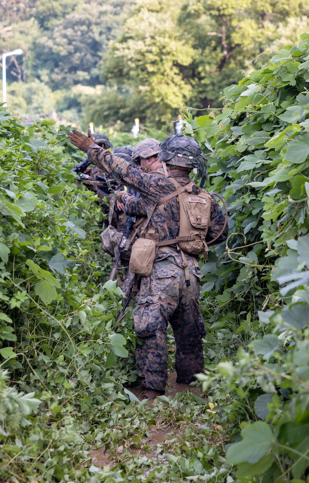 2/23 Marines conduct final field operation during KMEP 25.2