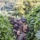 2/23 Marines conduct final field operation during KMEP 25.2
