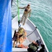 Panamanian Security Forces Sharpen Maritime Interdiction Skills During PANAMAX-ALPHA 2025