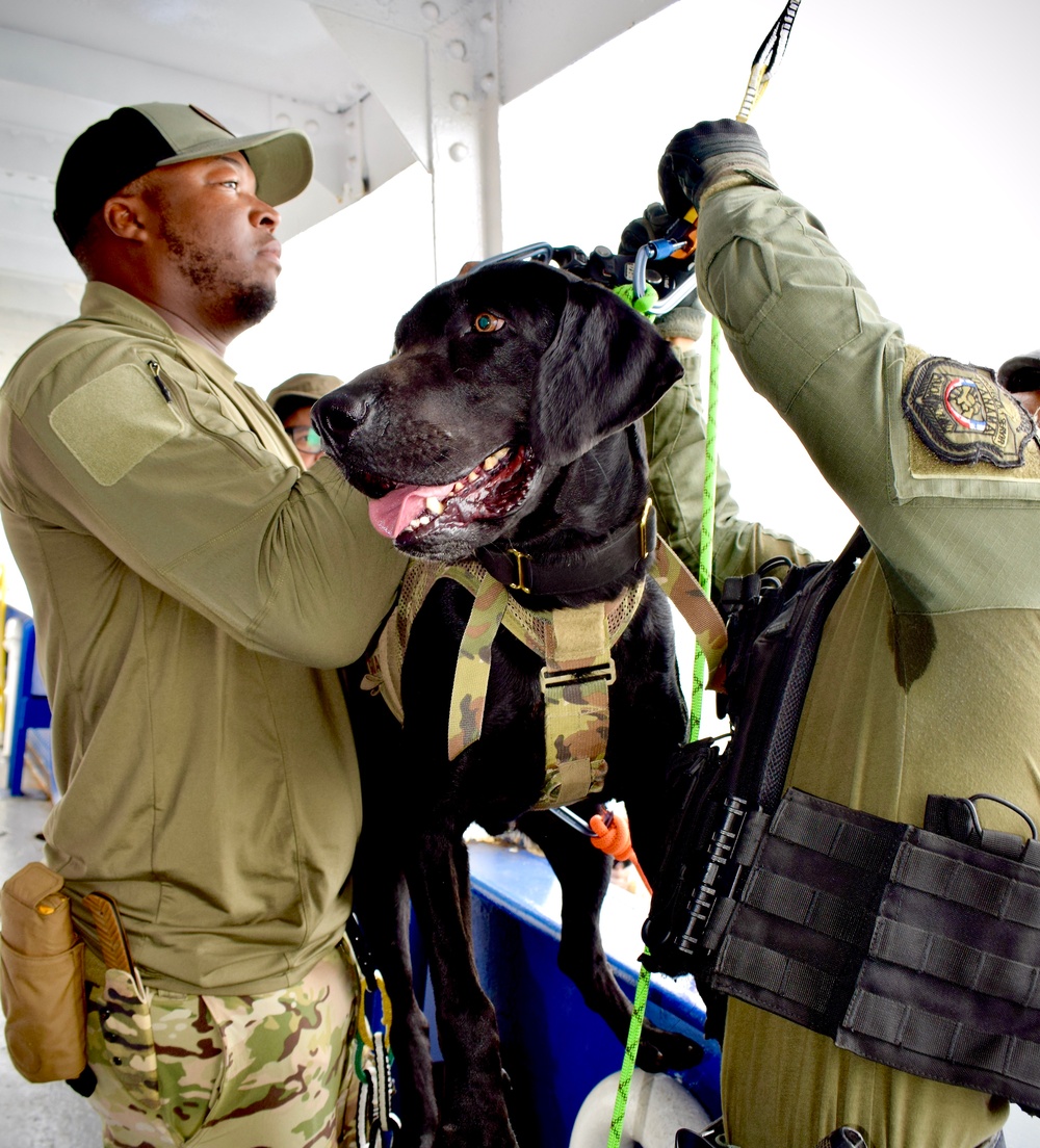 Panamanian Security Forces Sharpen Maritime Interdiction Skills During PANAMAX-ALPHA 2025