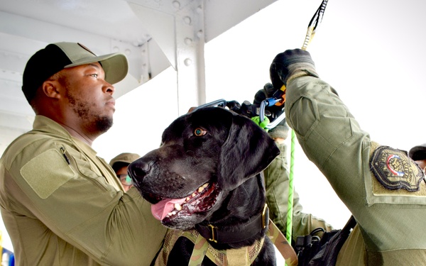 Panamanian Security Forces Sharpen Maritime Interdiction Skills During PANAMAX-ALPHA 2025