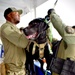 Panamanian Security Forces Sharpen Maritime Interdiction Skills During PANAMAX-ALPHA 2025
