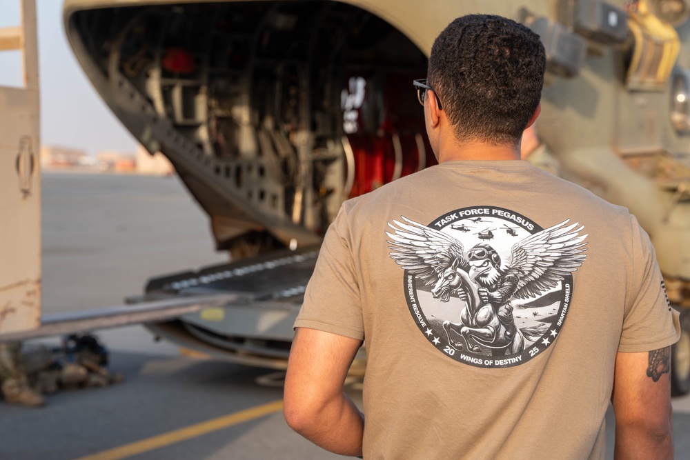 Careful Cargo Inspections