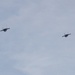 31st MEU | VMFA 242 fly off the USS America for Patrol 25.2