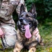Grafenwöhr Dogs