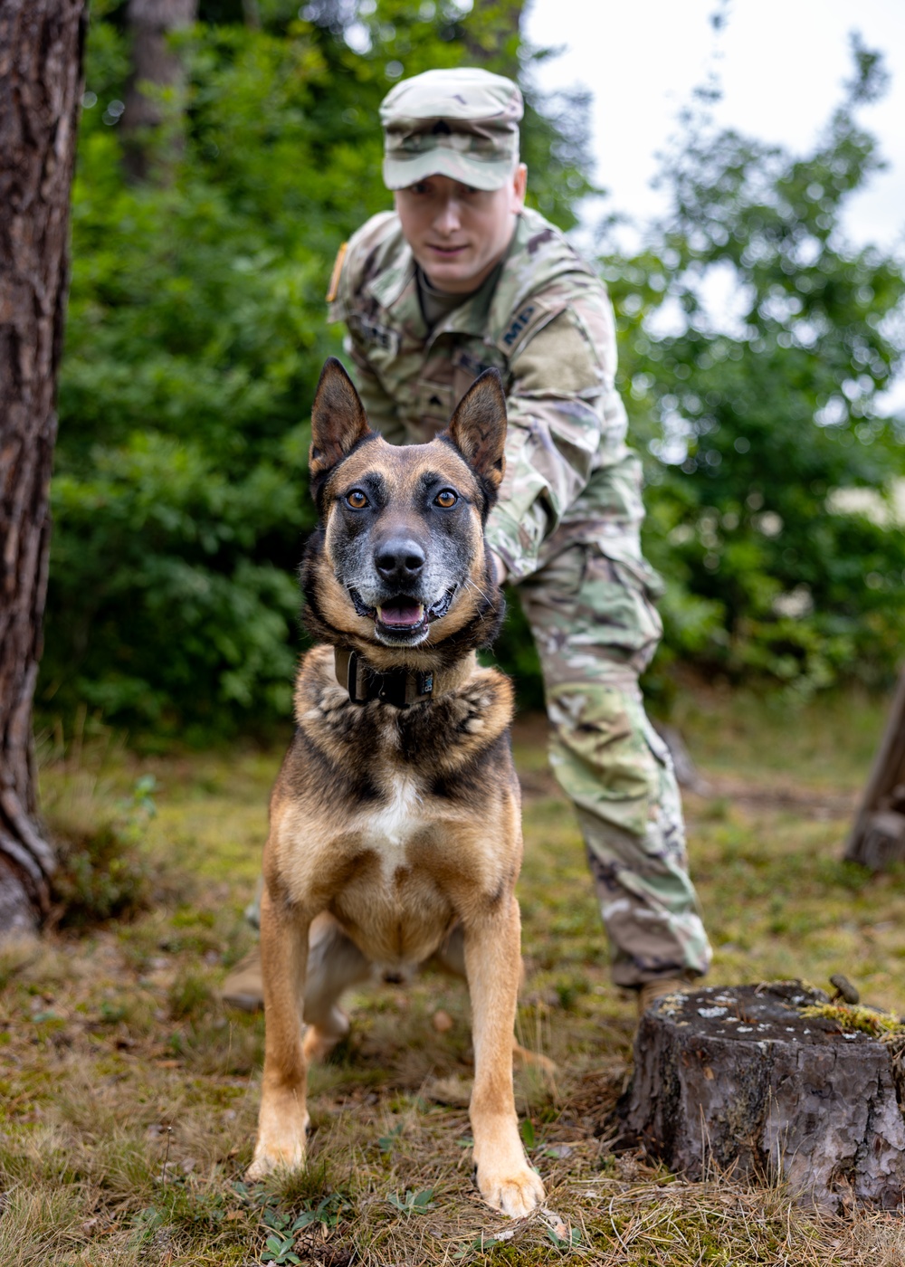 Grafenwöhr Dogs