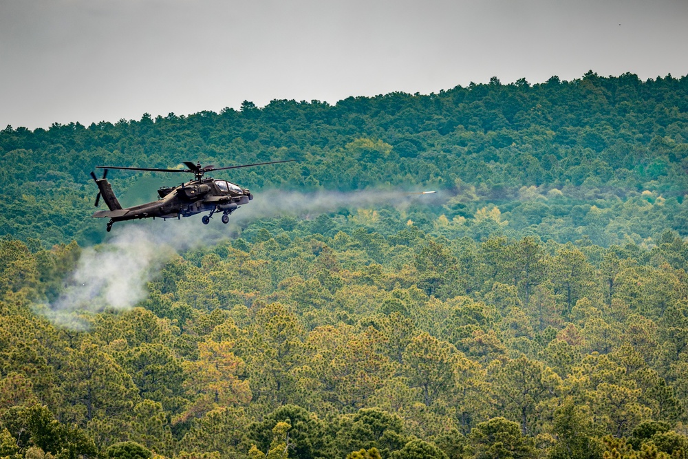 1-17 ACS Aerial Gunnery, Through the Trees