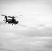 1-17 ACS Aerial Gunnery, Pew