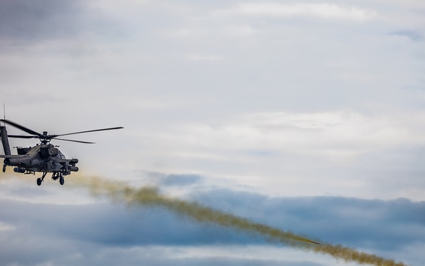 1-17 ACS Aerial Gunnery, Pew Pew