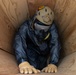 CBIRF conducts casualty extraction training with CLB 451 MT at AE25