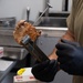 131st Bomb Wing Airmen practice interoperability with Marines in expeditionary kitchen