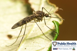 West Nile Virus cases on the rise