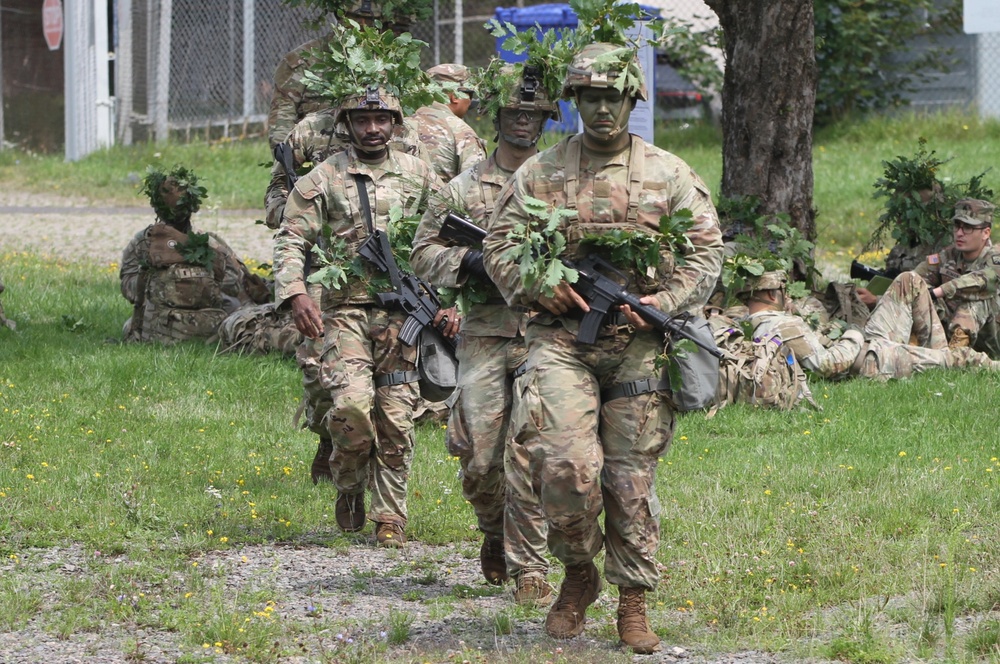 Soldier, Noncommissioned Officer, and Junior Officer of the 4th Quarter
