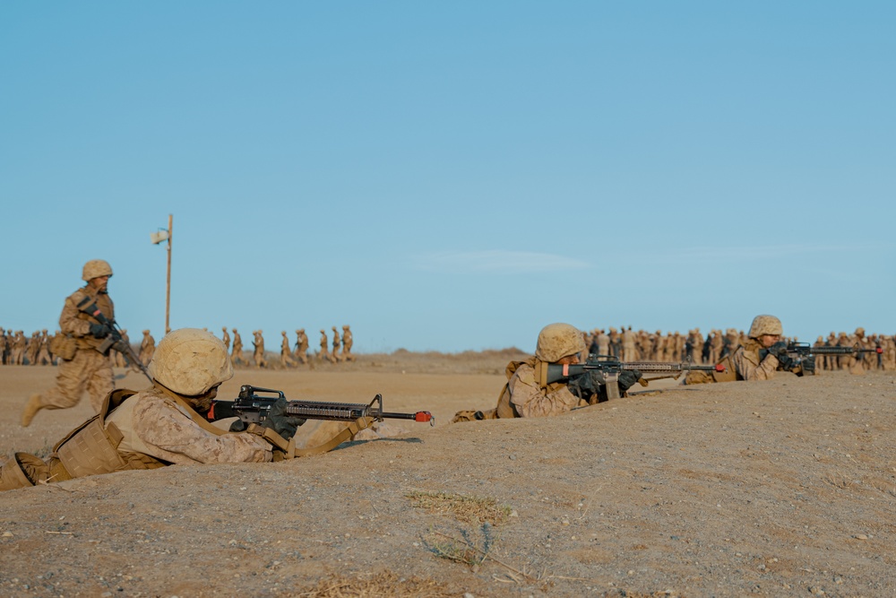 Alpha Company Copelands Assault Course