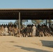 Alpha Company Copelands Assault Course