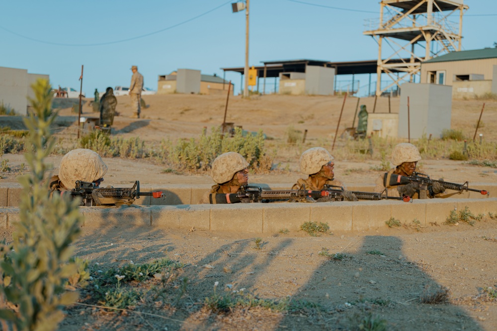 Alpha Company Copelands Assault Course