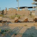 Alpha Company Copelands Assault Course