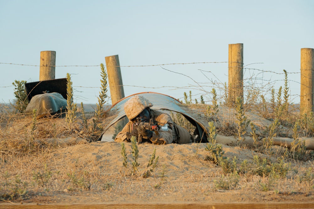 Alpha Company Copelands Assault Course