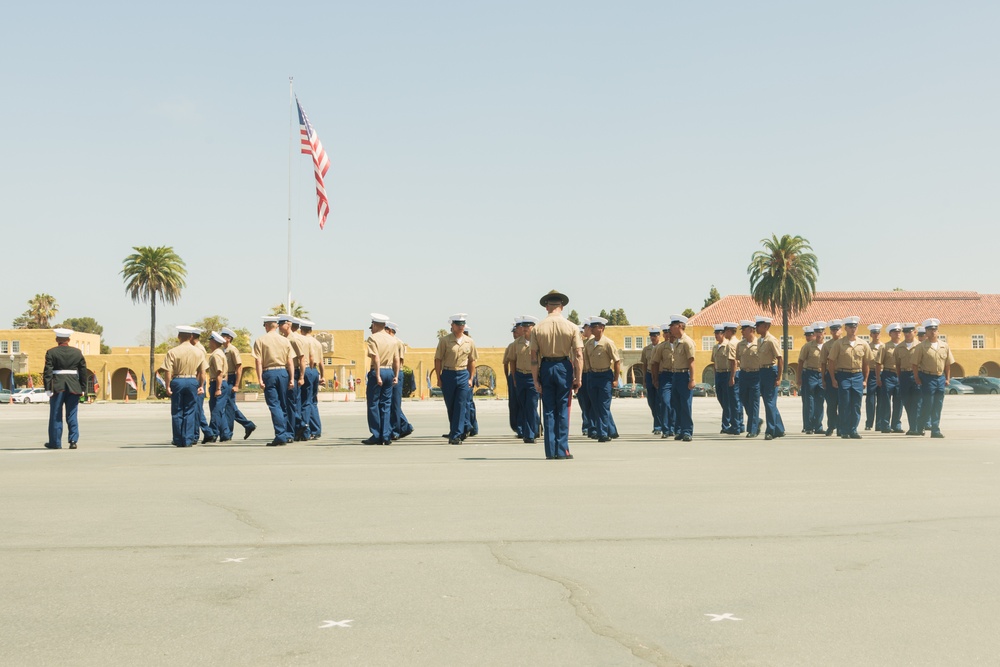Delta Company Graduation and Morning colors