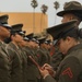 Delta Company Battalion Commander Inspection