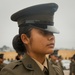 Delta Company Battalion Commander Inspection