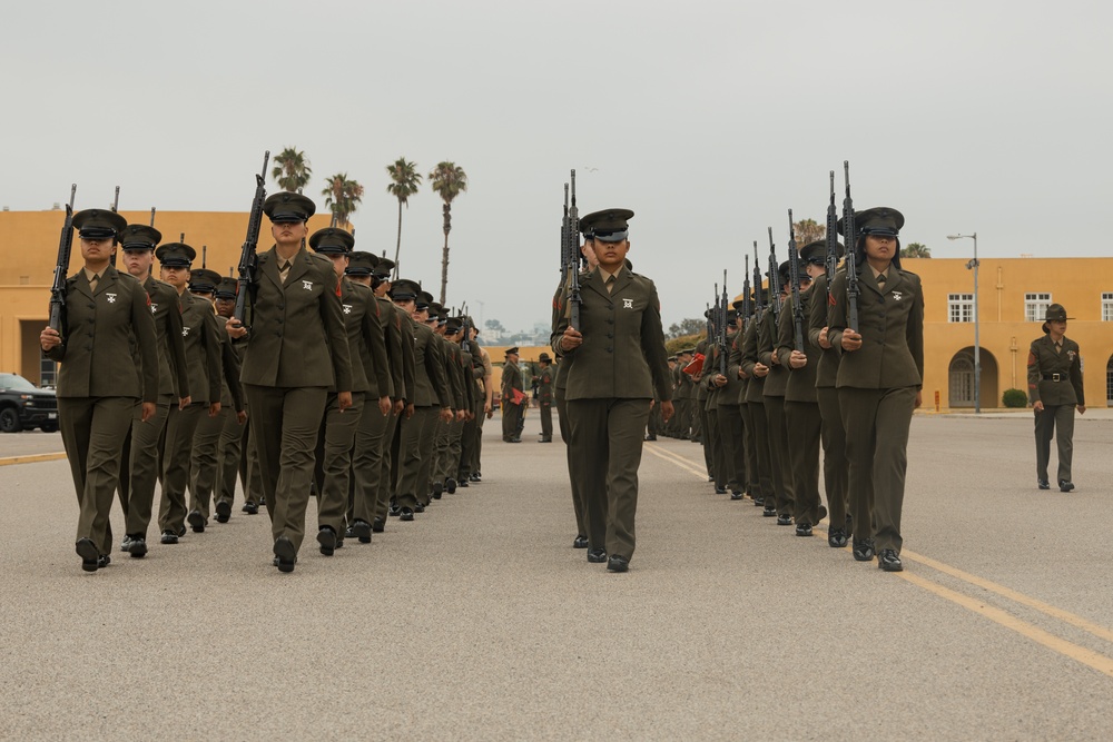 Delta Company Battalion Commander Inspection
