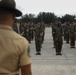 Echo Company Drill