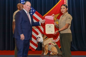 Marines, Sailors commemorate Chosin Resevoir with PT (Radio)