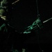 31st MEU | BLT 1/7 conducts night live-fire deck shoot