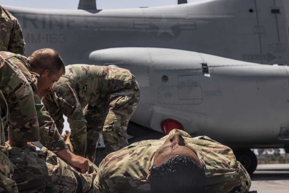 Marines and Sailors with 3rd MAW host 182nd Airlift Wing medical training
