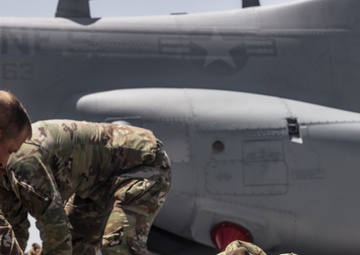 Marines and Sailors with 3rd MAW host 182nd Airlift Wing medical training