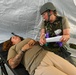 Expeditionary Medical Support