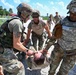 Tactical Combat Casualty Care