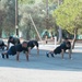 Republic of Cyprus State Partnership Program enhances inaugural NCO development course