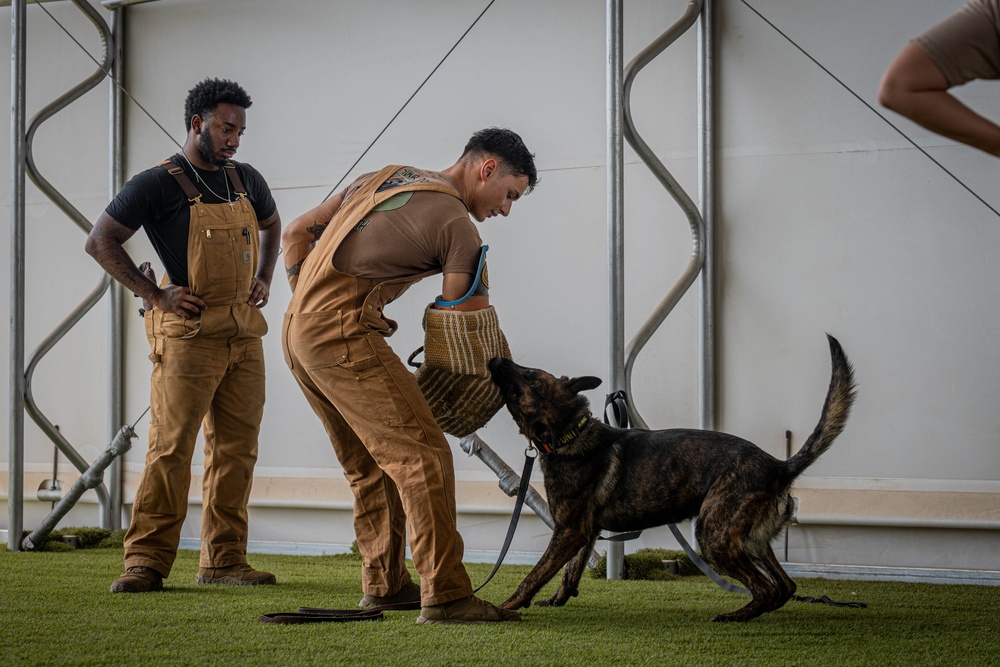 Camp Lemonnier MWD Team, Djiboutian National Police Enhance Partnership Through Joint Training