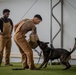 Camp Lemonnier MWD Team, Djiboutian National Police Enhance Partnership Through Joint Training