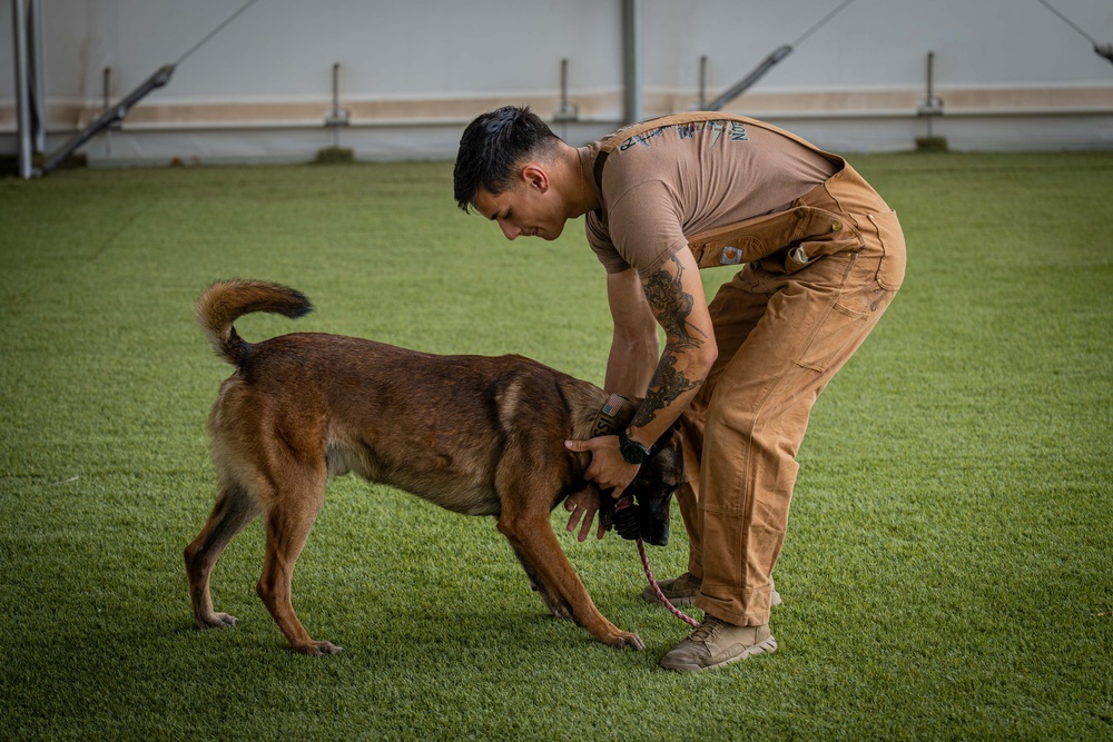 Camp Lemonnier MWD Team, Djiboutian National Police Enhance Partnership Through Joint Training