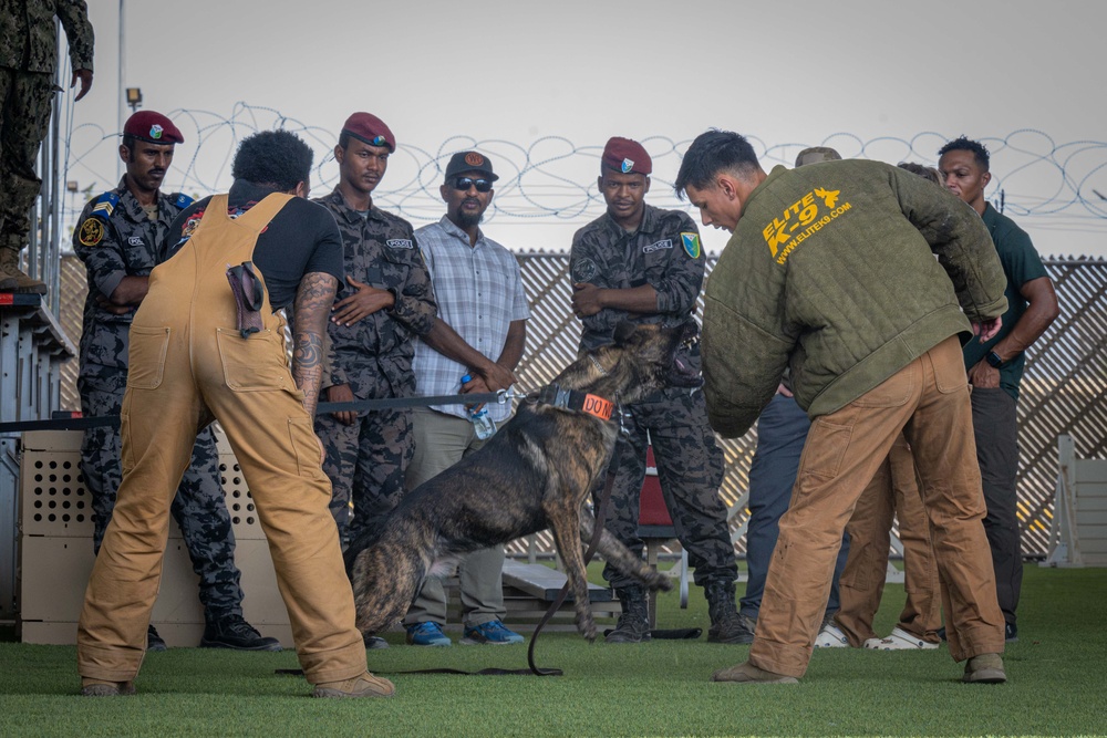 Camp Lemonnier MWD Team, Djiboutian National Police Enhance Partnership Through Joint Training
