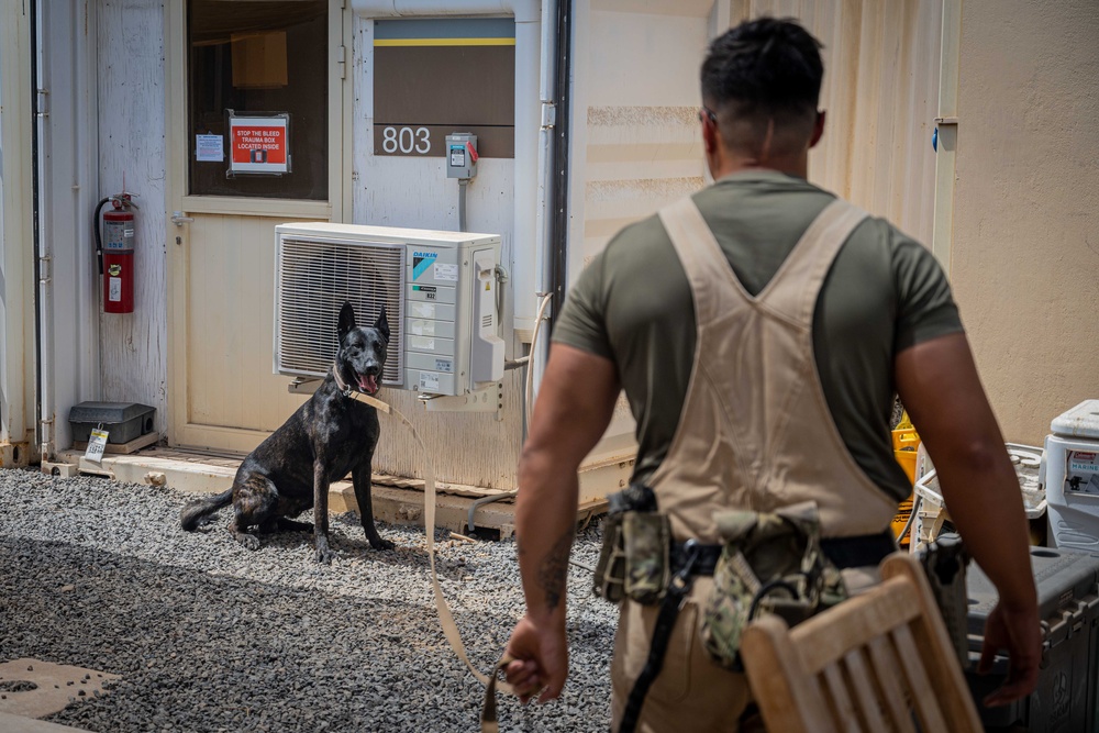 Camp Lemonnier MWD Team, Djiboutian National Police Enhance Partnership Through Joint Training