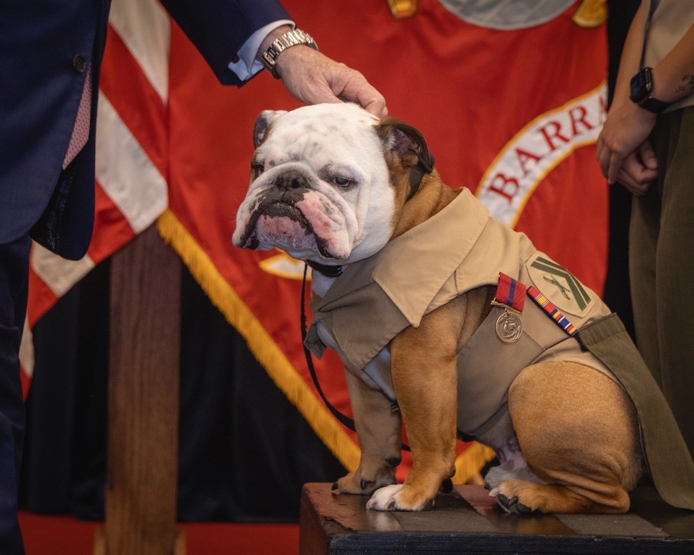Chesty XVI receives Good Conduct Medal
