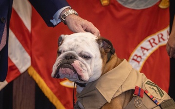 Chesty XVI receives Good Conduct Medal