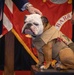 Chesty XVI receives Good Conduct Medal