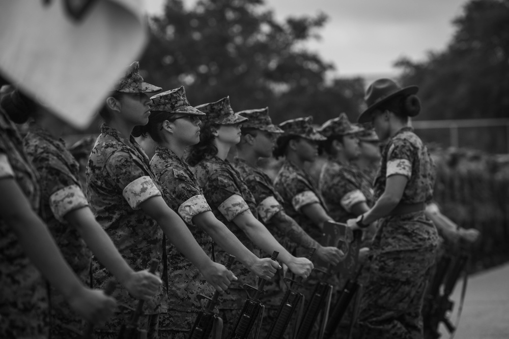 Echo Company Drill